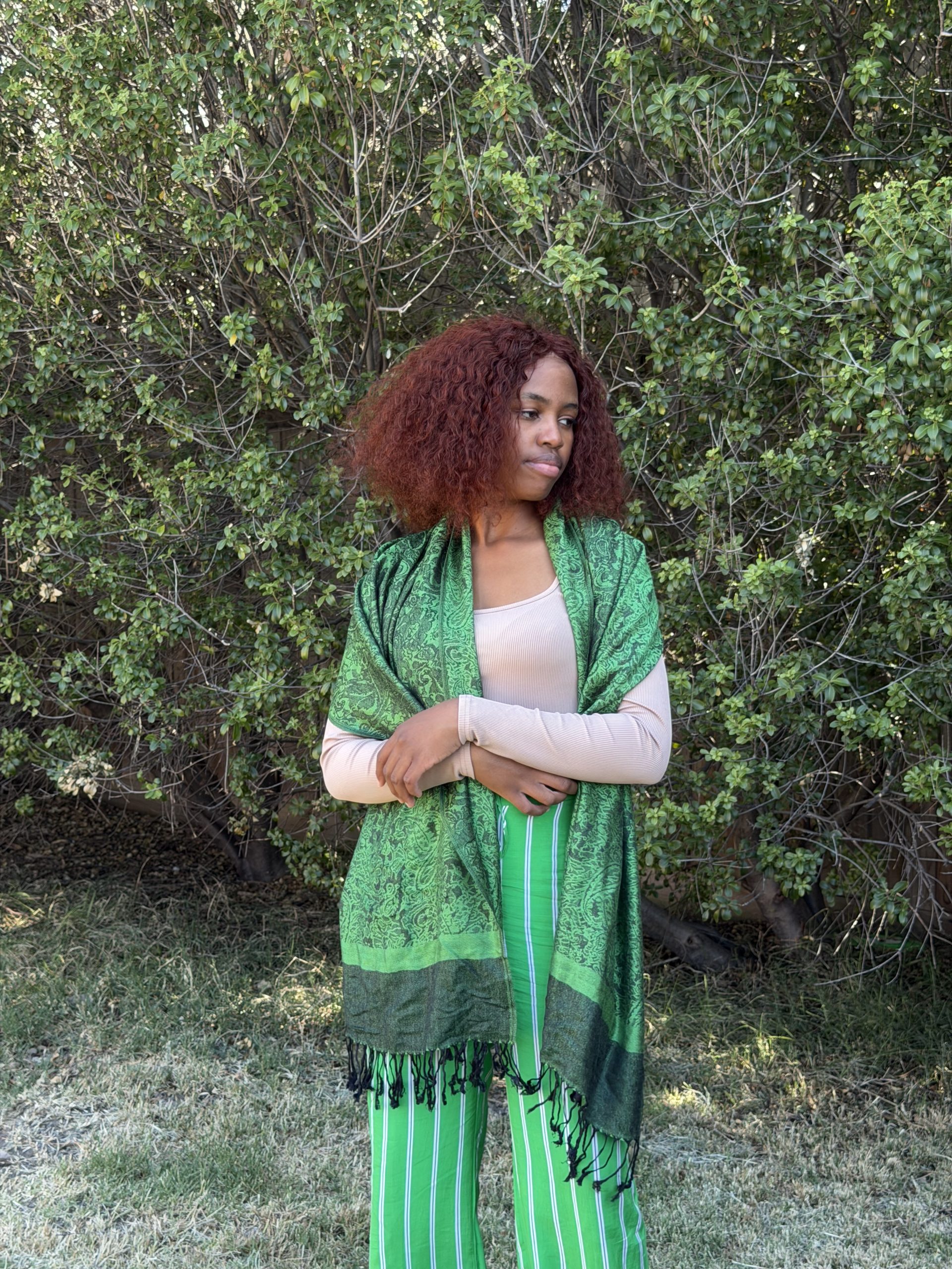 Green Black Pashmina Silk Scarf